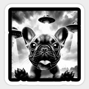 French Bulldog UFO Fiesta Fun and Fashionable T-shirts for Bulldog Sticker